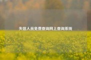 失信人员免费查询网上查询系统