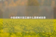 小信成则大信立是什么意思诚信者