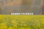 征信逾期多久可以恢复正常