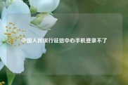 中国人民银行征信中心手机登录不了