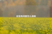 征信有问题怎么消除