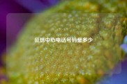 征信中心电话号码是多少