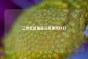 兰州征信报告在哪里可以打