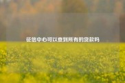 征信中心可以查到所有的贷款吗