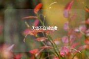 失信不立诚信者