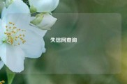 失信网查询