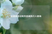 全国高等法院失信被执行人查询