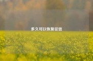 多久可以恢复征信